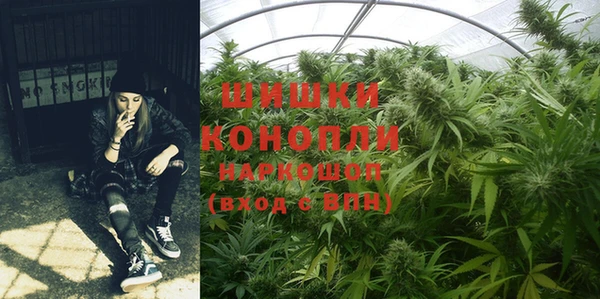 марки lsd Новозыбков