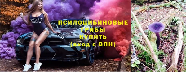 марки lsd Новозыбков