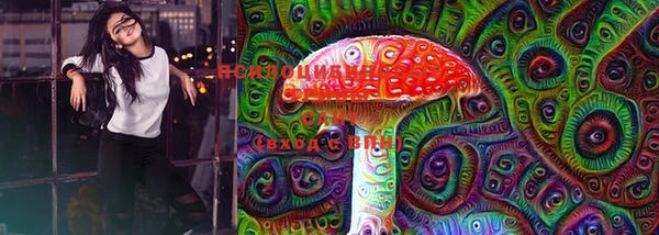 mix Новодвинск