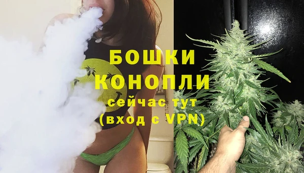 марки lsd Новозыбков