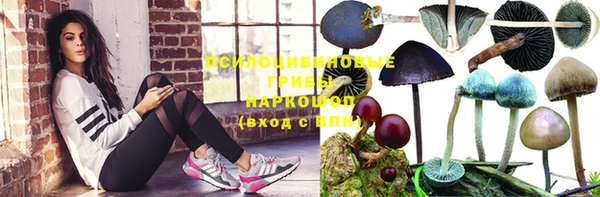mix Новодвинск