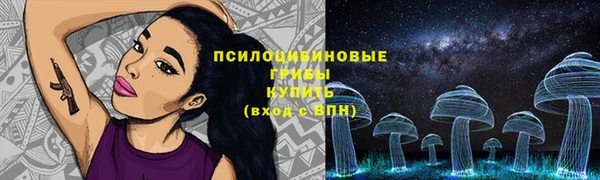 mix Новодвинск