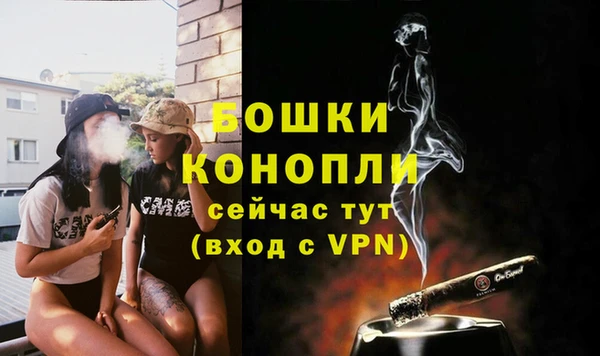 марки lsd Новозыбков