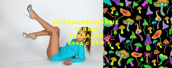 mix Новодвинск