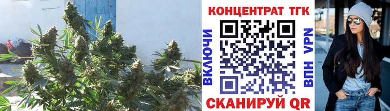 мега ТОР  Петров Вал  ТГК Wax  shop формула  как найти закладки 