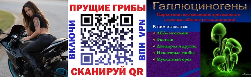 Псилоцибиновые грибы Magic Shrooms  Петров Вал 